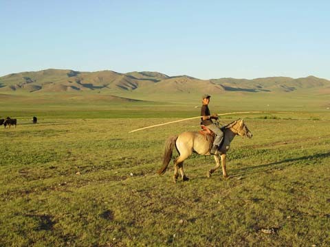 Бескрайние пастбища Монголии.