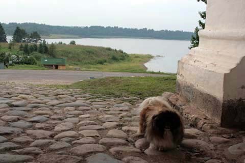 Ферапонтово. Вид на озеро Бородаевское со Святых ворот Ферапонтова монастыря.